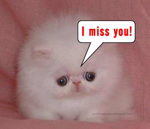 cute i miss you graphics. cute miss you images.