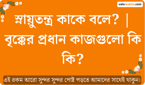 স্নায়ুতন্ত্র কাকে বলে? | বৃক্কের প্রধান কাজগুলো কি কি?