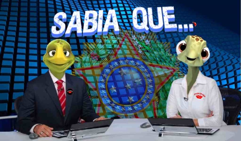 Estão abertas as inscrições para o 8º Prêmio Sebrae de Jornalismo