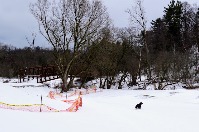 The first of the new bridges is directly south of the Flemingdon Golf Course