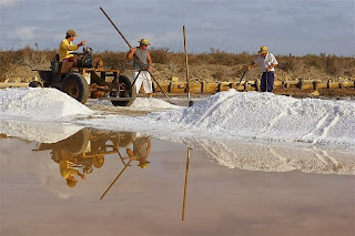 Salinas y pescado de estero de la Bahía de Cádiz