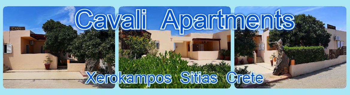  Apartments  Xerokampos Sitia