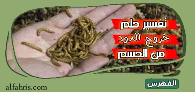 تفسير حلم خروج الدود من الجسم بالتفصيل