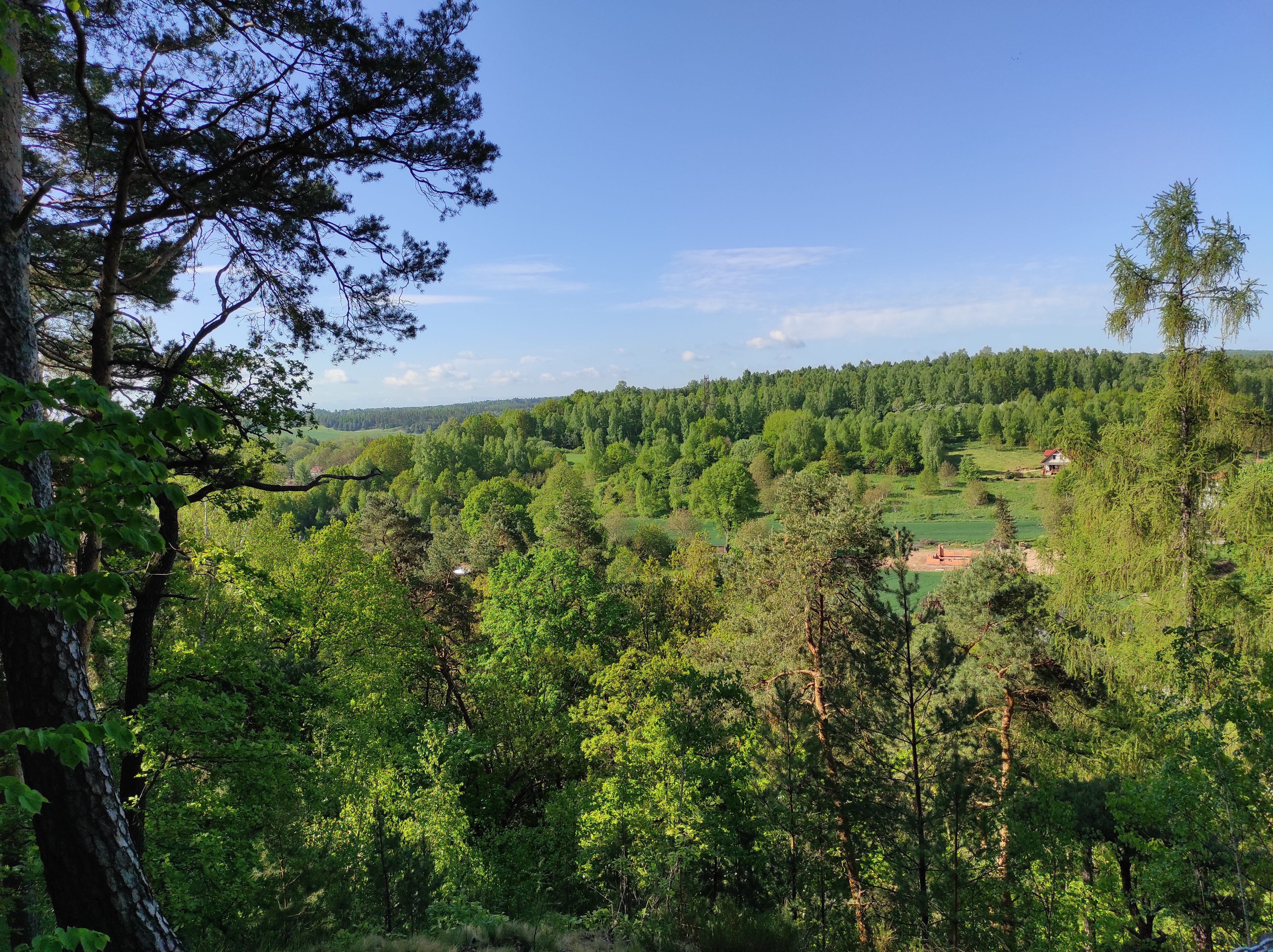 Szwajcaria Lwówecka czyli, Lwóweckie Skały