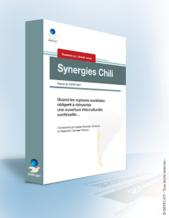 Synergies Chili n° 15 - 2019 p. 111-119