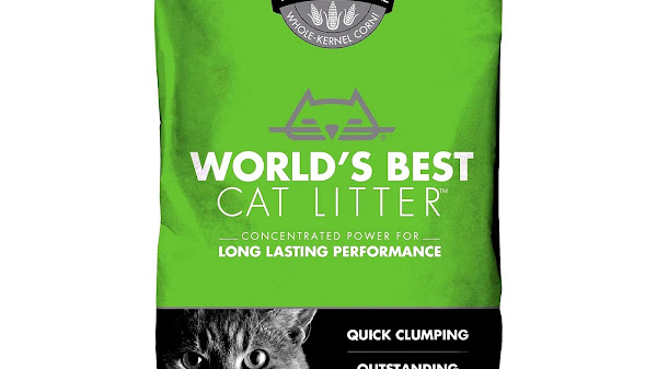What Is Best Cat Litter