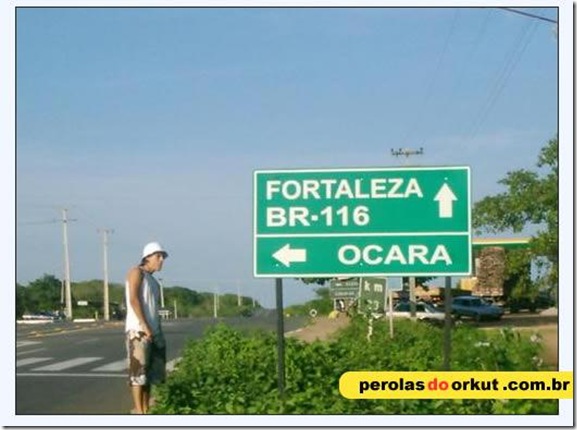 Perolas Orkut (5)
