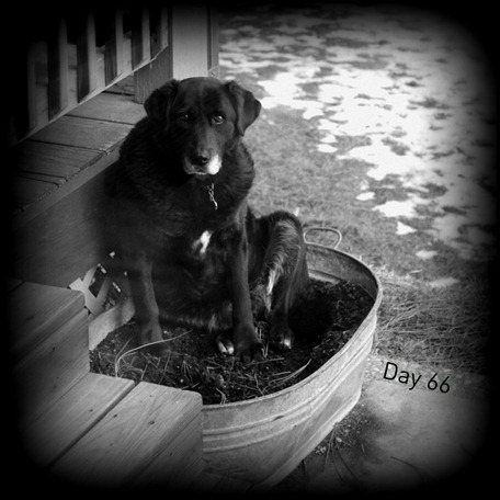 Edited Day 66