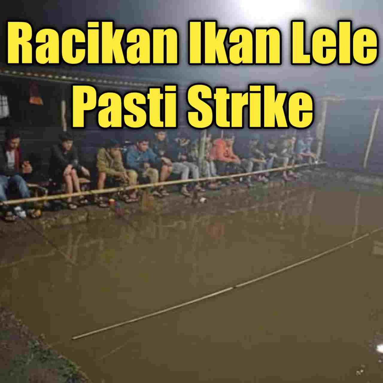 Umpan Ikan Lele Yang Susah Makan, Padukan Alami Saja!