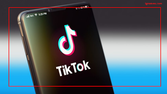 TikTok: Create, delete & view a story