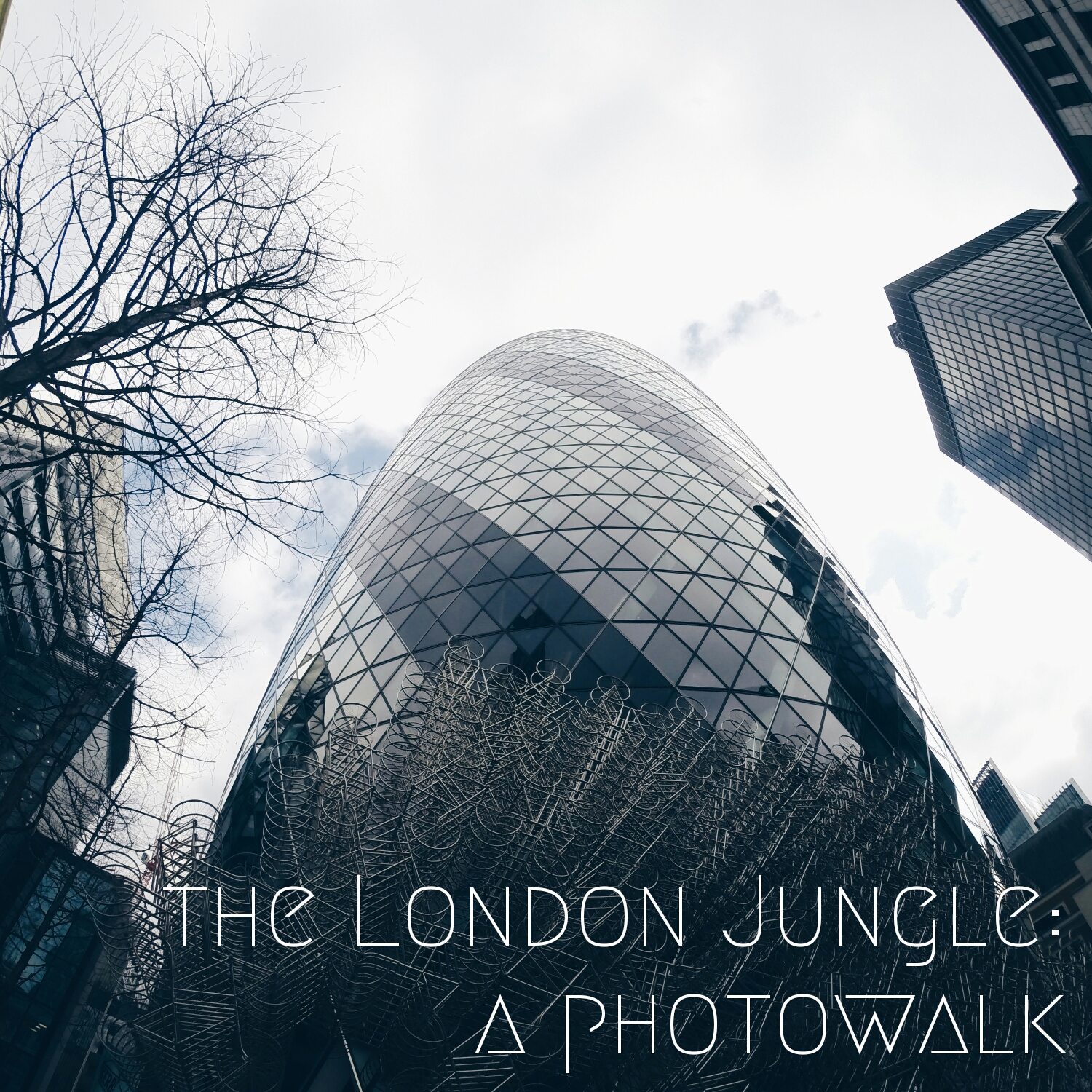 The London Jungle: A  Photowalk