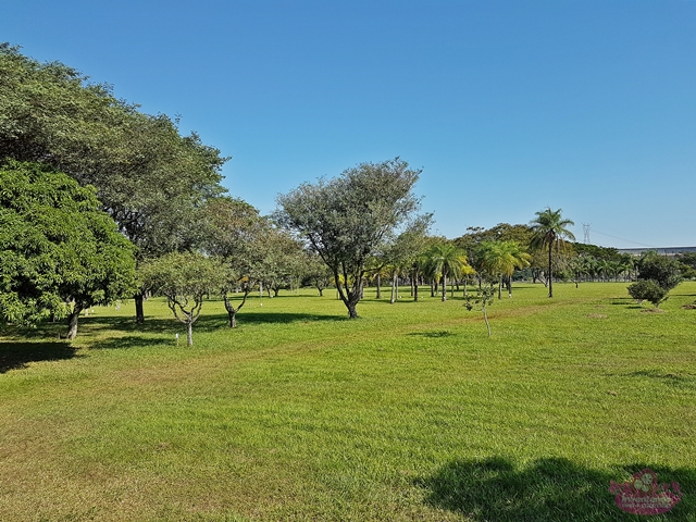 O que fazer em Foz do Iguaçu