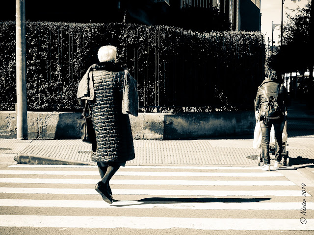 Logroño Blanco y Negro