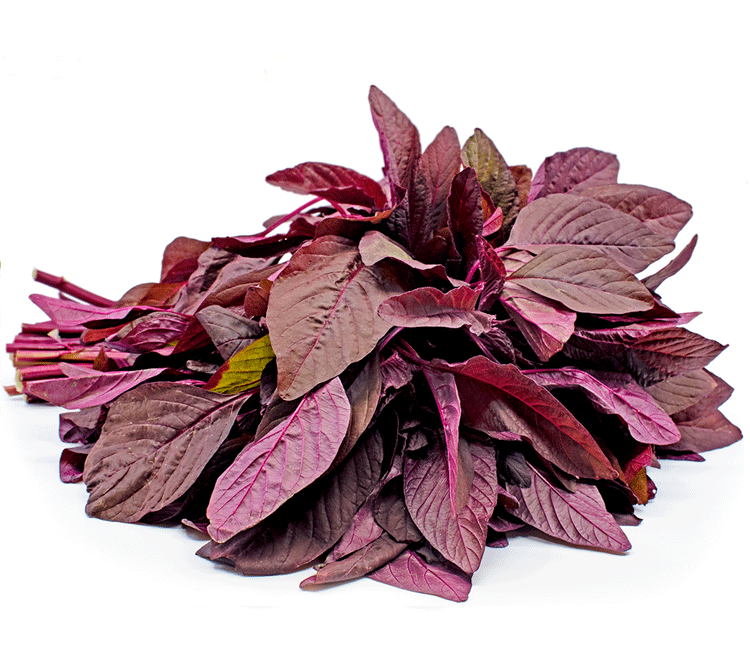 amaranth leaves