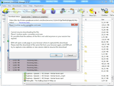 Melanjutkan Download IDM 2