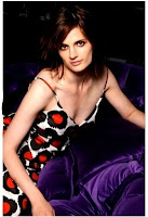 Stana Katic of Castle 2