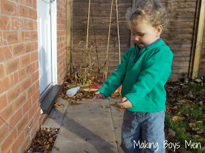 Leaf collecting and collage