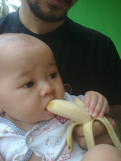 Gambar Unyu Unyu Photo Unyu Bayi Makan Pisang Ambon