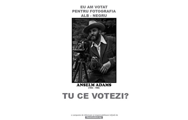 the art student vote campaign university of arts iasi art students initiatives ansel adams