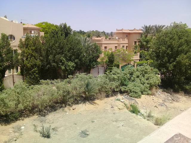 فيلا للبيع بوادي النخيل, فلل للبيع بوادي النخيل, فيلا للبيع فى وادى النخيل, wadi al nakheel compound, فيلا للبيع بكمبوند وادى النخيل, فيلا للبيع كمبوند وادي النخيل, فلل للبيع في وادي النخيل, فلل للبيع بكمبوند وادي النخيل, كمبوند وادي النخيل, كمبوند وادي النخيل بالطريق الصحراوي, كمبوند وادي النخيل فيلات, كمبوند وادي النخيل - مدينة الشيخ زايد،, كمبوند وادي النخيل بالشيخ زايد, كمبوند وادي النخيل اكتوبر, اسعار كمبوند وادي النخيل, موقع كمبوند وادي النخيل, موقع كمبوند وادي النخيل الشيخ زايد, موقع كمبوند وادي النخيل بالشيخ زايد, كمبوند وادي النخيل الشيخ زايد, مشاكل كمبوند وادي النخيل, فلل للبيع في كمبوند وادي النخيل, فيلات للبيع في كمبوند وادي النخيل, رقم كمبوند وادي النخيل الشيخ زايد