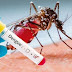  Informaron 162 casos nuevos de dengue en la última semana