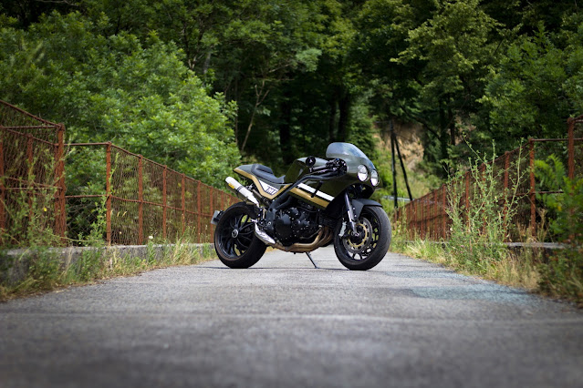 Triumph Speed Triple By Tumulte Bike