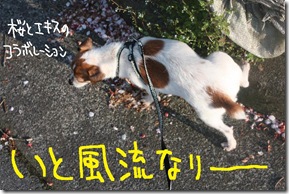 今日カズ１００４２５　４