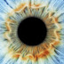 Artificial iris responds to light like real eyes