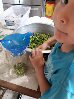 How to Can Green Beans - Grindle Creek Homestead - #pressurecanning #foodpreservation #stockingup