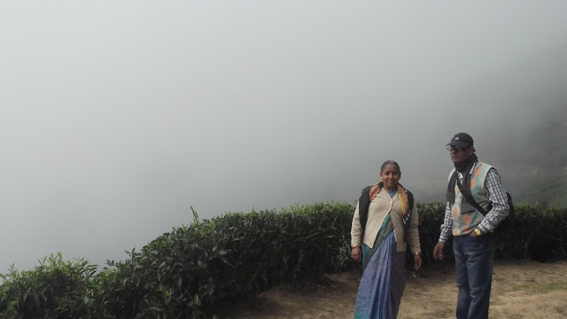 Top Station Munnar Kerala