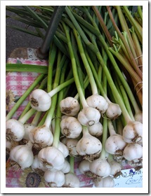 spring garlic brittany