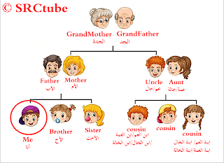 اسماء التوابل والبهارات باللغة الانجليزية