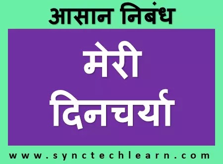 essay on my daily routine in hindi