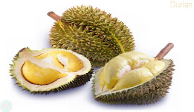 durian fruit