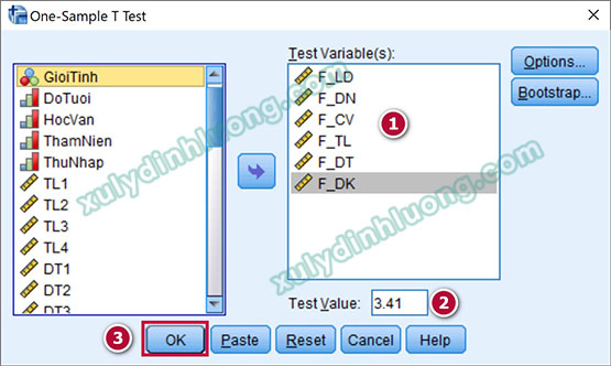 One-Sample T Test trong SPSS
