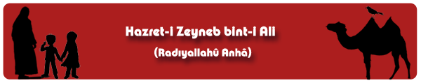 http://cennetegidenyol.blogspot.com.tr/2014/09/hz-zeyneb-bint-i-ali-ranha.html