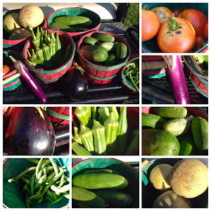 A bountiful harvest!