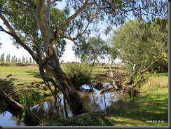 180319 084 Boorowa