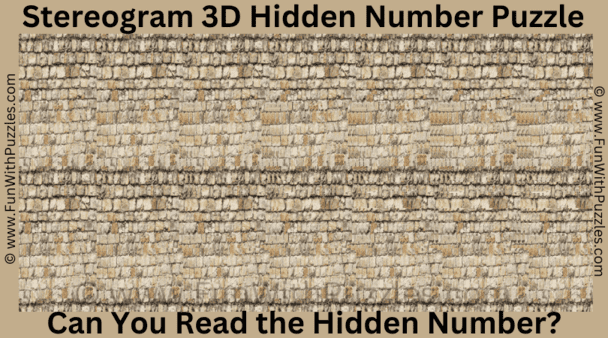 3. Stereogram Puzzle: Can You Read the Hidden Number?
