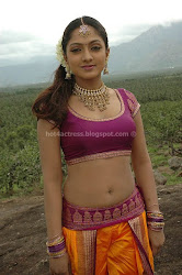 Sheela Spicy Hot and sexy Navel and cleavage show