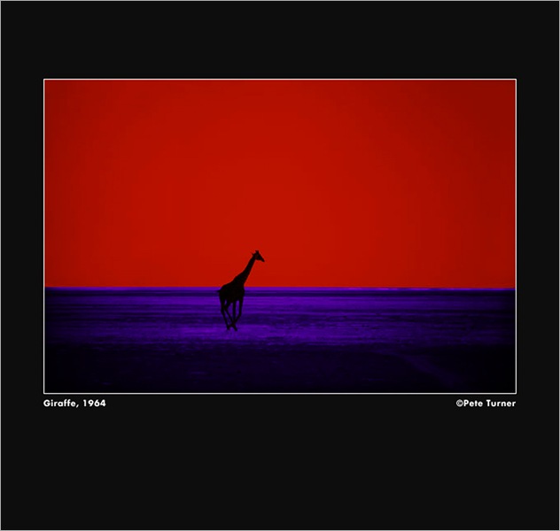 pete_turner_1