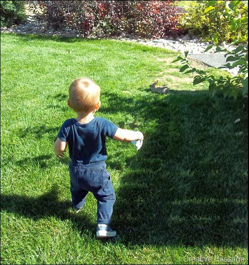 2013-09-13 024