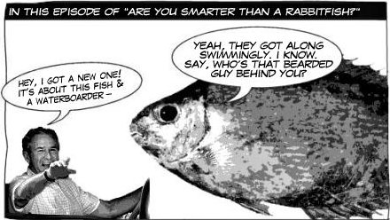 Are you smarter than a rabbitfish?