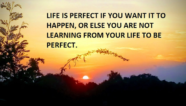 LIFE IS PERFECT IF YOU WANT IT TO HAPPEN, OR ELSE YOU ARE NOT LEARNING FROM YOUR LIFE TO BE PERFECT.