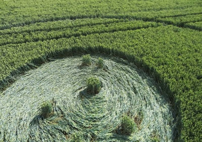 Crop circles in the Netherlands, 4 July 2016. The circle is found by a contactee with gray, named Robert.