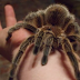 Horrifying living things found in a human body!