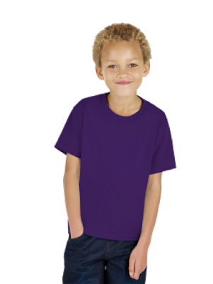 hanes t shirt for boys