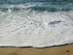 Cabo San Lucas 063