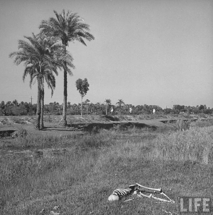 The skeleton of a starved man lying in a field after being eaten by vultures and jackals