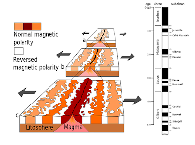 Sea Floor Spreading and Polar Reversal